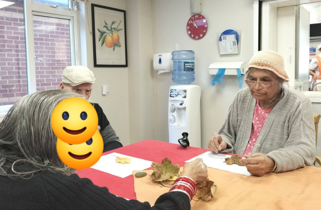 Hayes Park Nursing & Residential Home