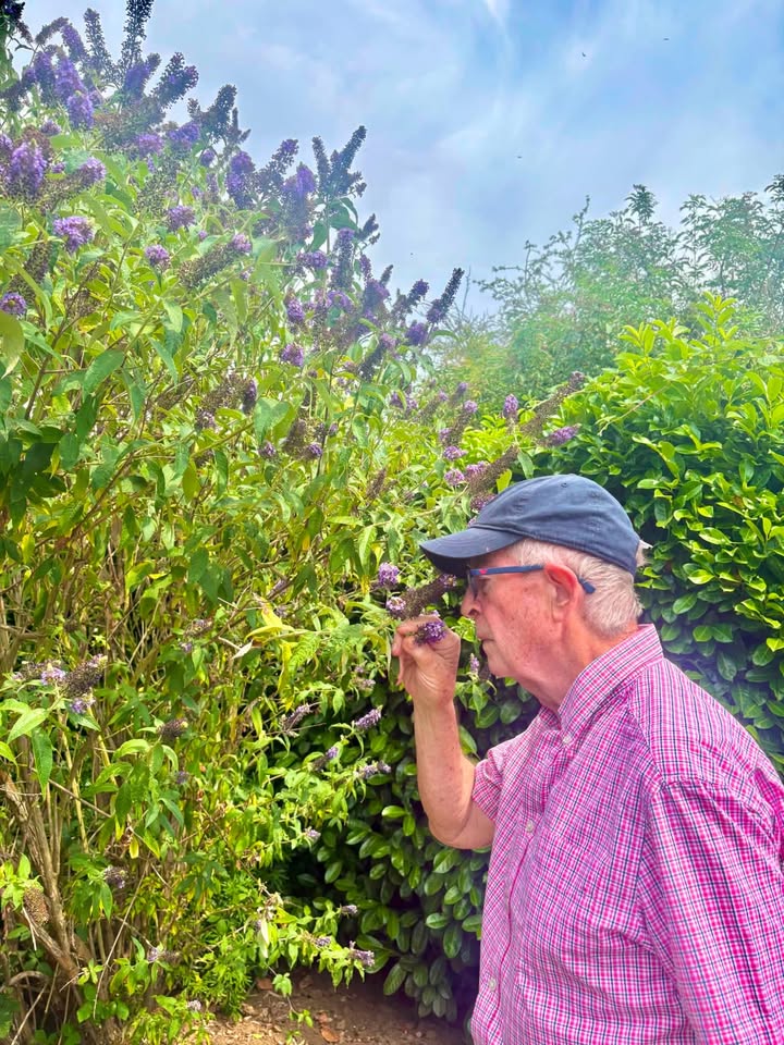 The Lindens Residential Care Home
